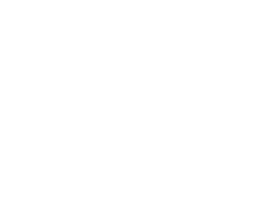 AVC Media Services and True Media