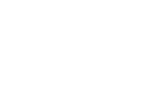 BOYSEN
